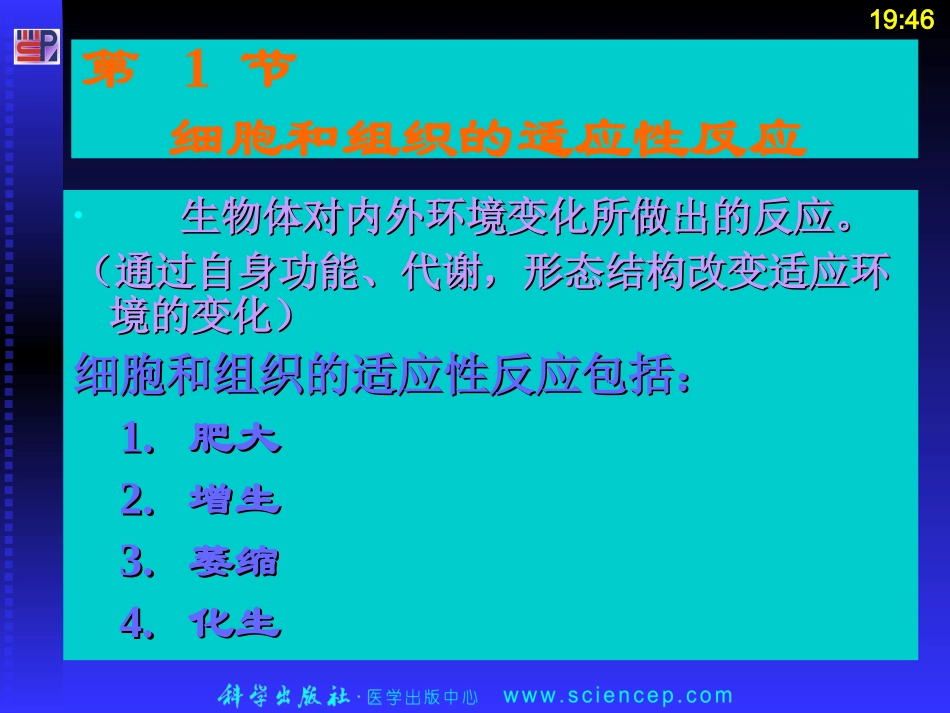 第2章 细胞和组织的适应、损伤和修复(病理学基础教学课件)_第3页