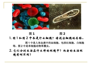 第1节 细胞生活的环境