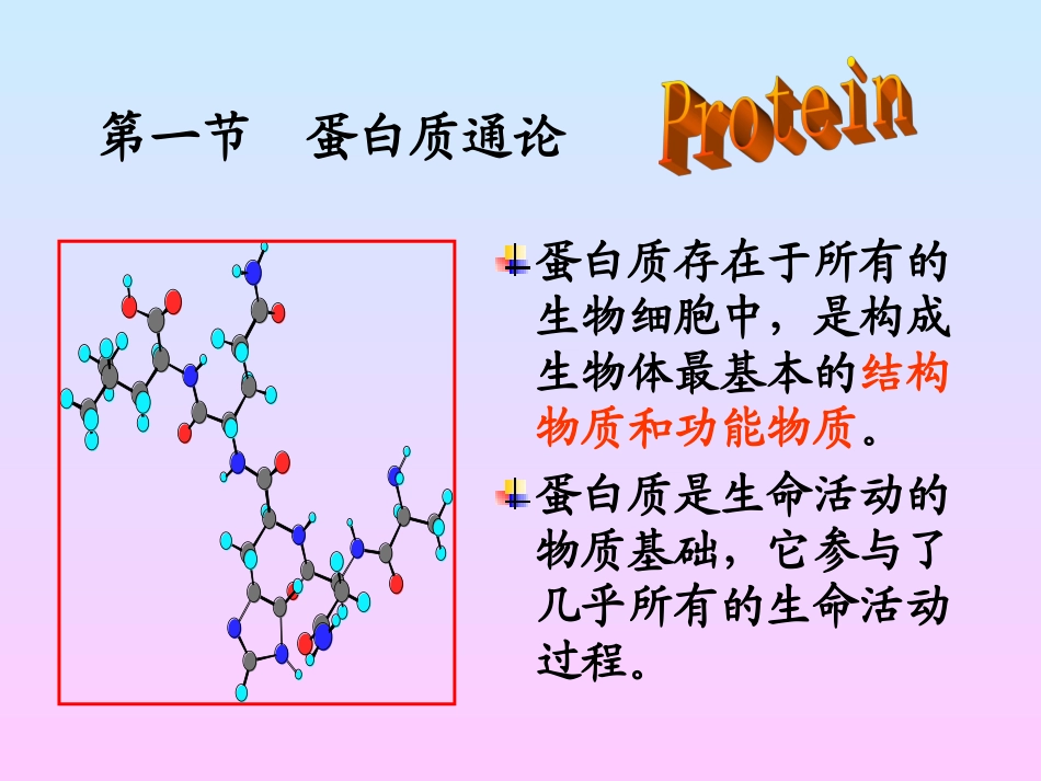 第1章 蛋白质组成成分和氨基酸_第2页
