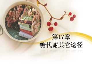第17章 糖代谢其它途径2015