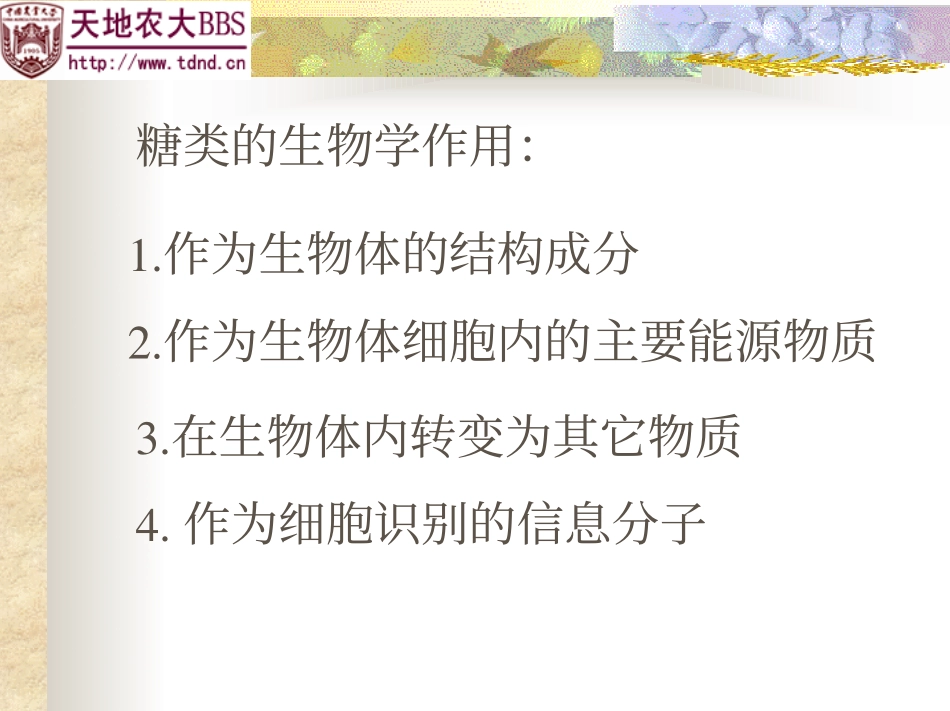 第02章_糖_第2页