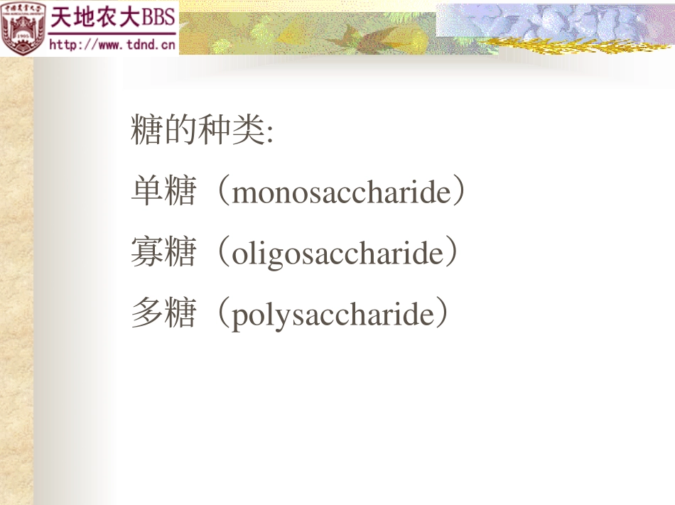 第02章_糖_第3页