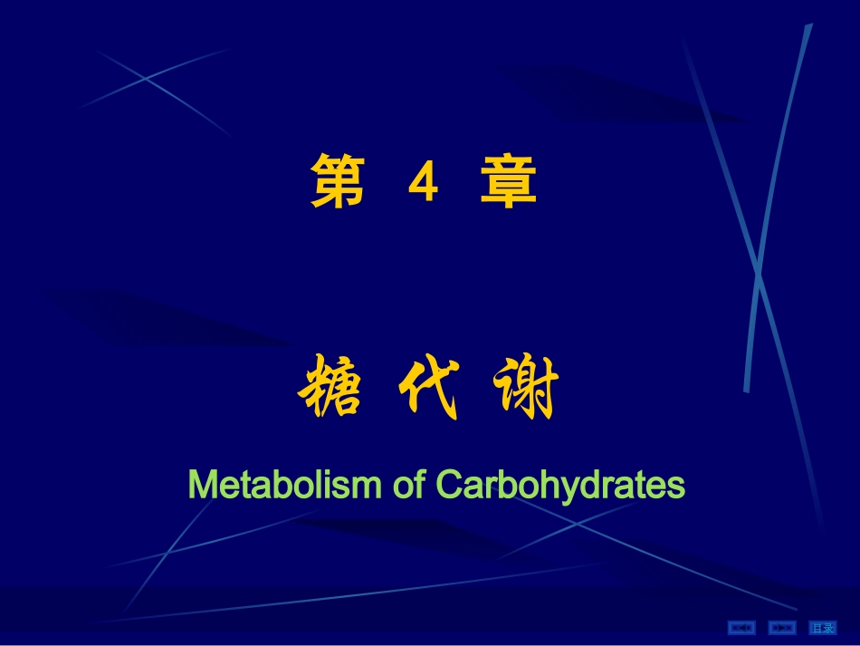 第04章糖代谢1_第1页