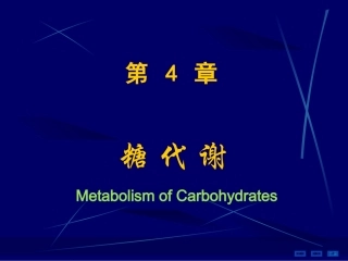 第04章糖代谢1