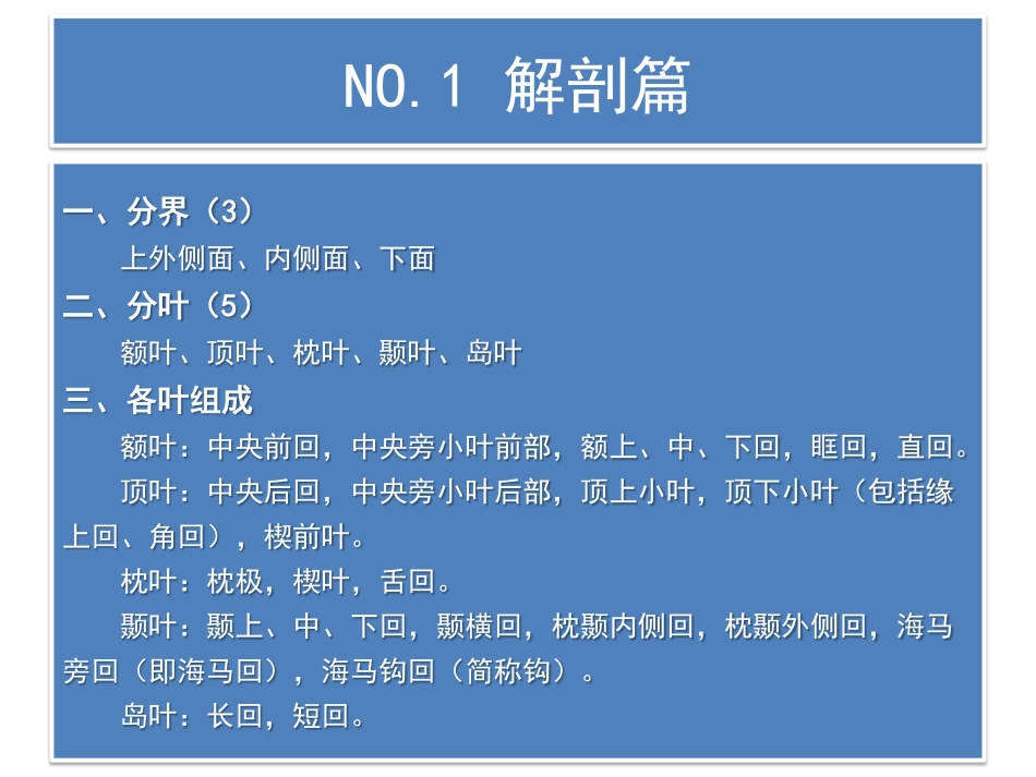 端脑的解剖与功能_第2页