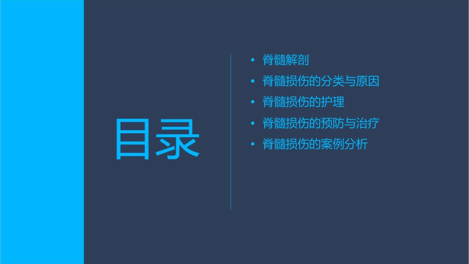 脊髓解剖及脊髓损伤护理课件_第2页