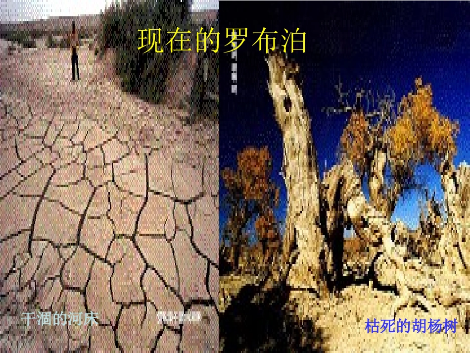 罗布泊消逝的仙湖 (2)_第2页