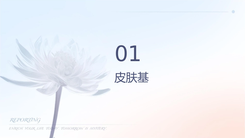 皮肤健康护理基础知识课件_第3页