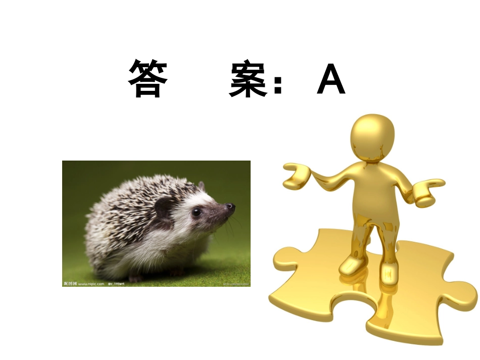 科学趣味问答4_第3页