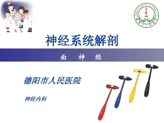 神经解剖讲课模版 (2)