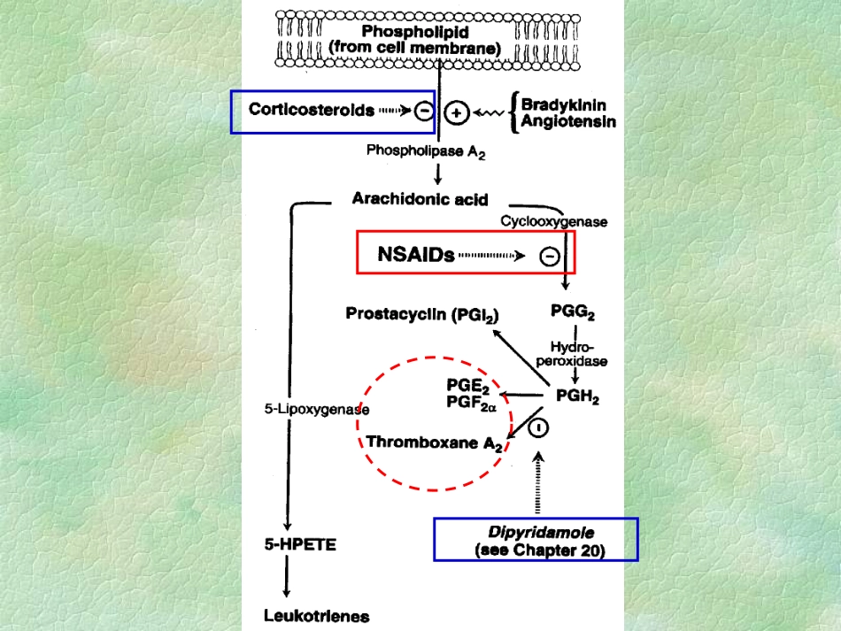 神经系统药理—吴希美(解热镇痛药_第3页
