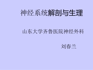 神经系统解剖与生理