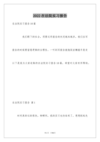2024在法院实习报告_4