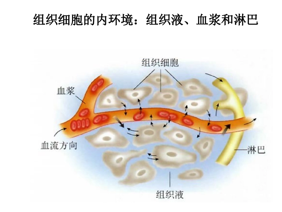 神经系统的结构和功能_第2页