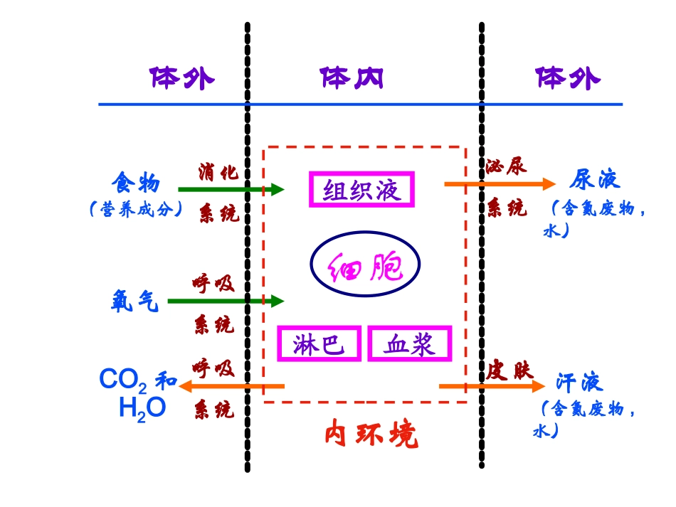 神经系统的结构和功能_第3页