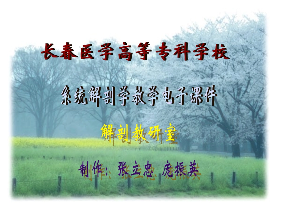 神经系统端脑(完整)_第1页