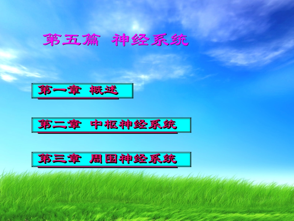 神经系统端脑(完整)_第2页