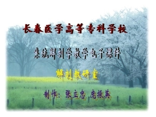 神经系统端脑(完整)