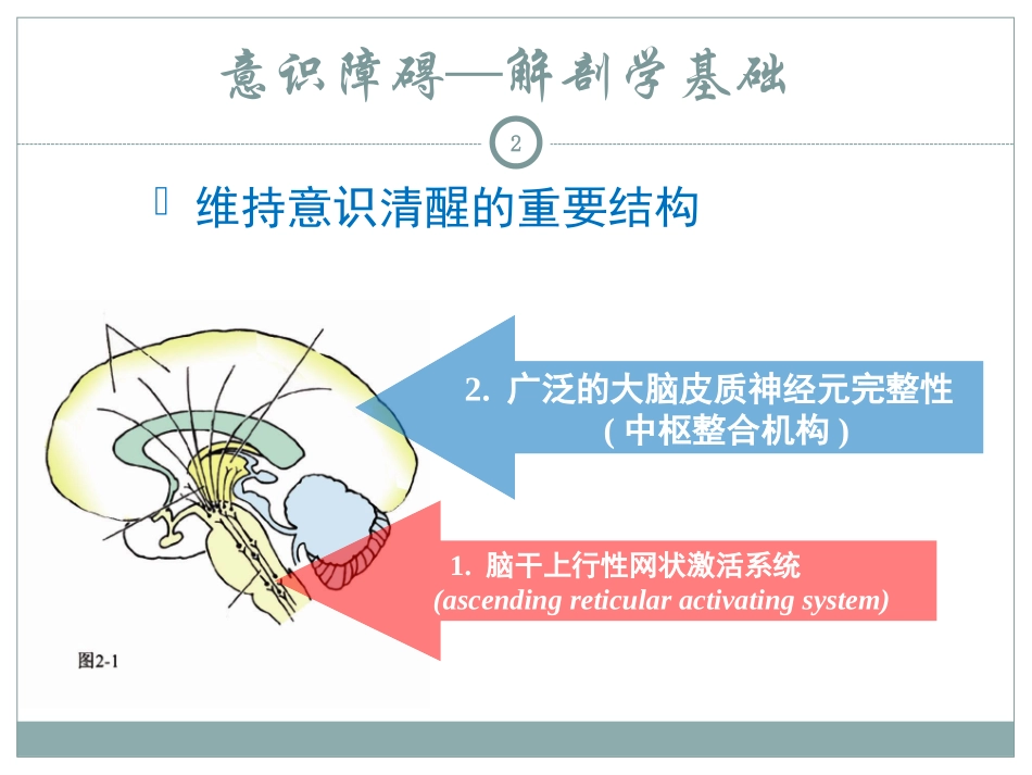 神经病学总论剖析_第2页