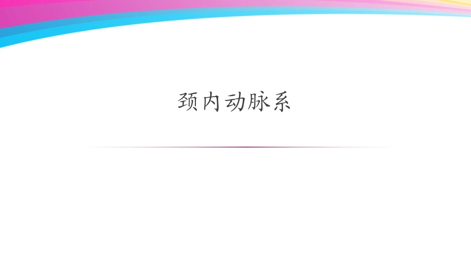 神经系统(二)脑动脉血管_第3页