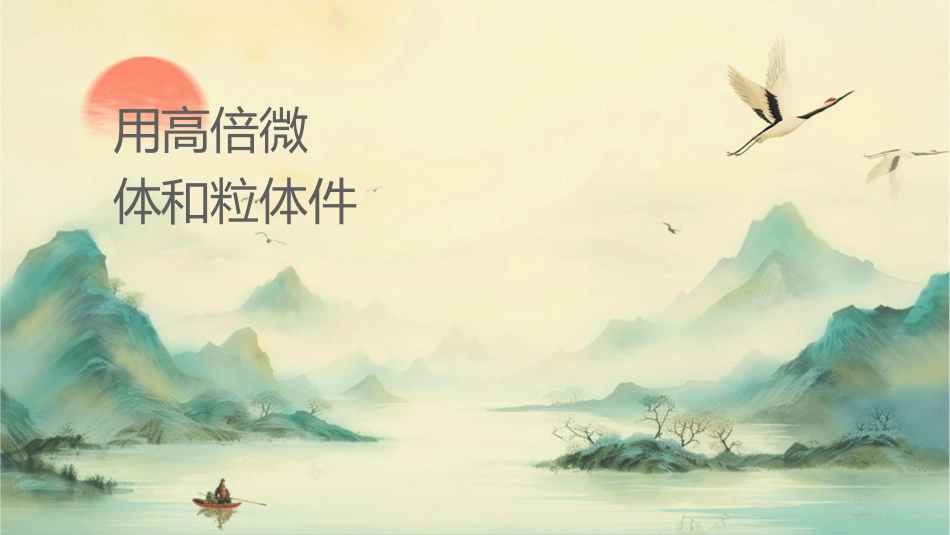用高倍显微镜观察叶绿体和线粒体课件_第1页