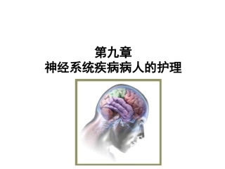 神经系统-第一节