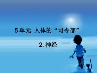 神经中枢脑脊髓脑神经