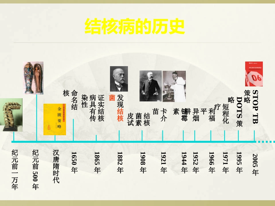 社区结核病防治知识_第2页