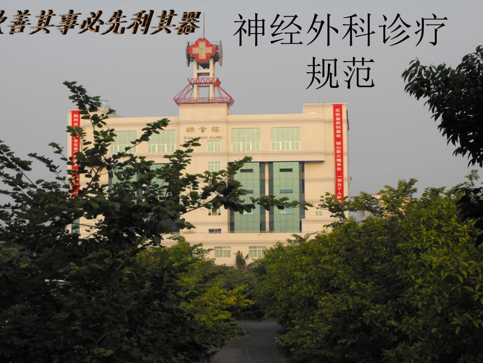 神经外科诊疗规范1_第1页