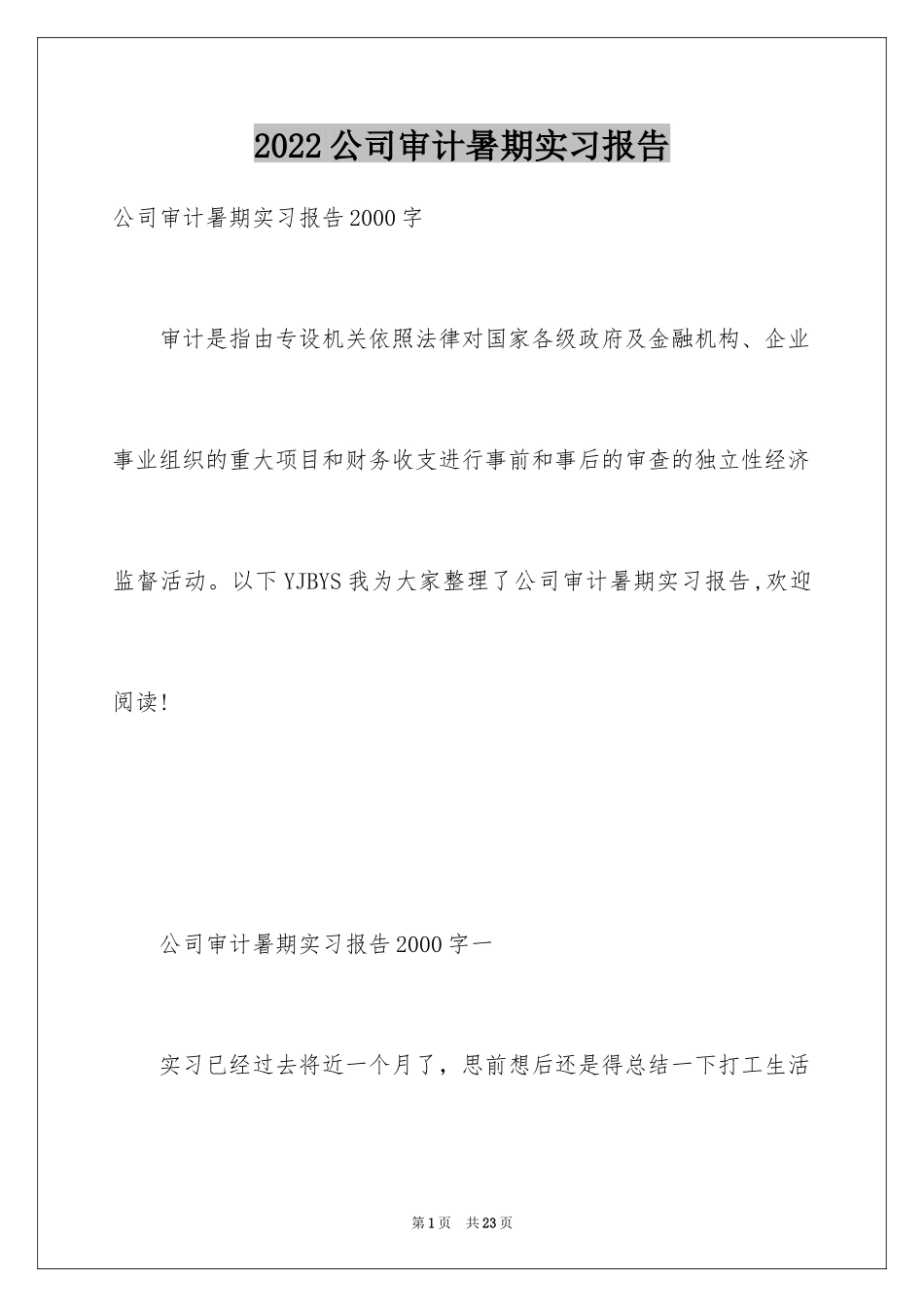 2024公司审计暑期实习报告_第1页