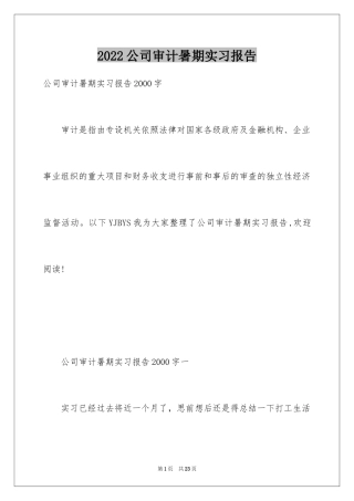 2024公司审计暑期实习报告