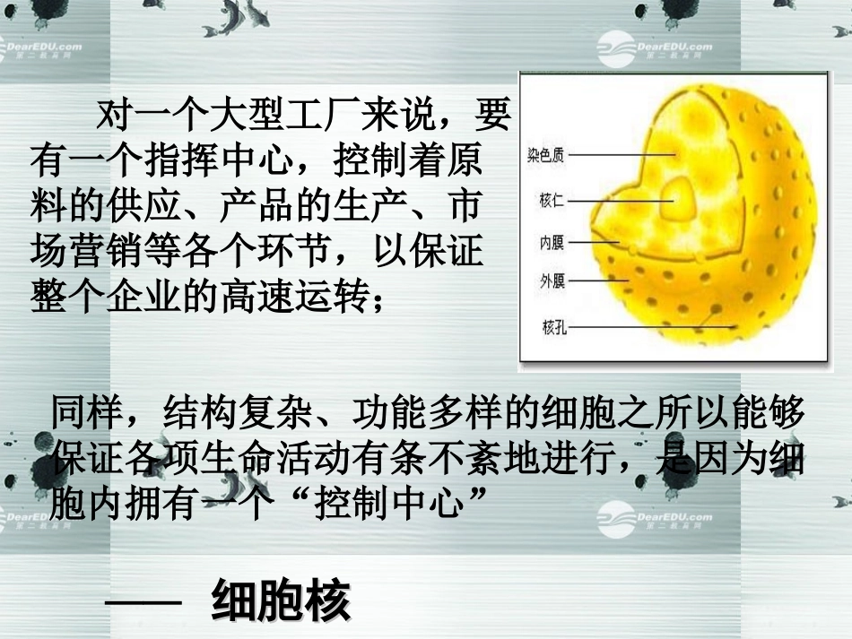 2014高中生物《33细胞核系统内的控制中心》课件新人教版必修1_第2页