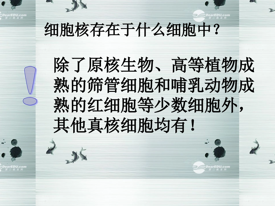 2014高中生物《33细胞核系统内的控制中心》课件新人教版必修1_第3页