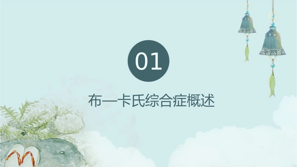 布—卡氏综合症护理课件_第3页