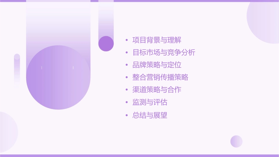 山水美地整合推广策略课件_第2页