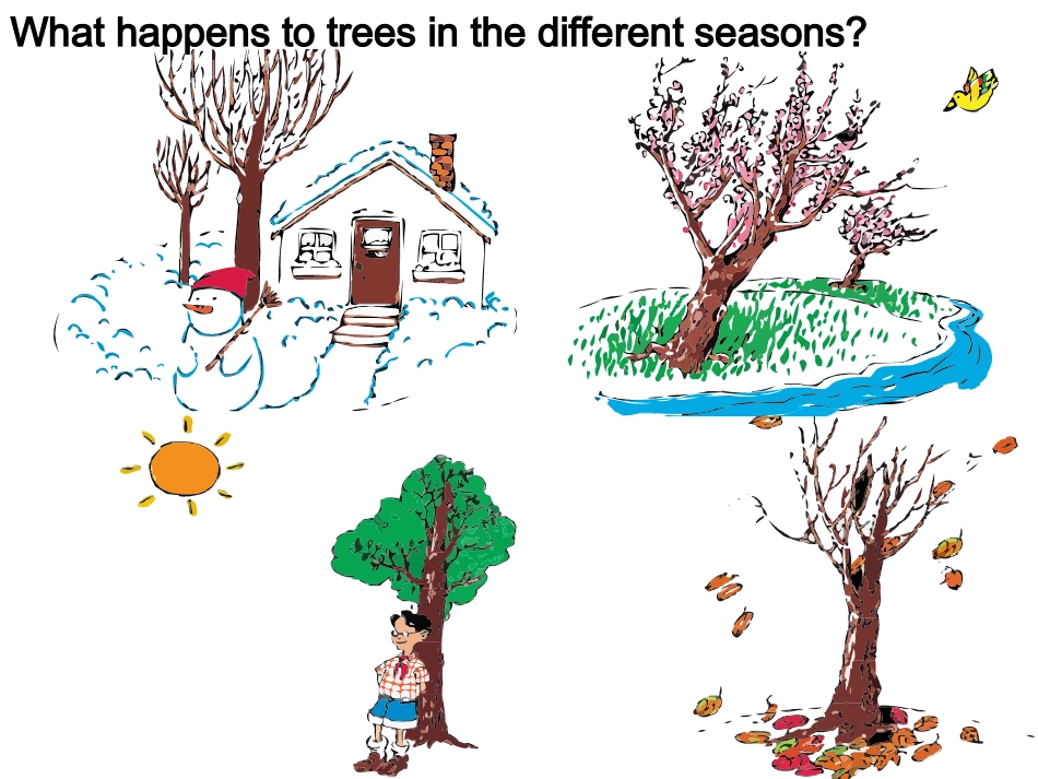 六年级yingyu_第2页