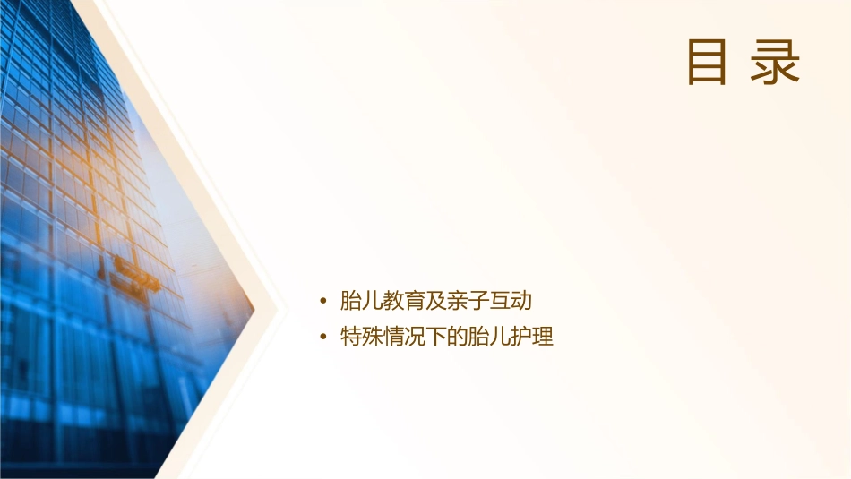 胎儿发育的特征护理课件_第2页