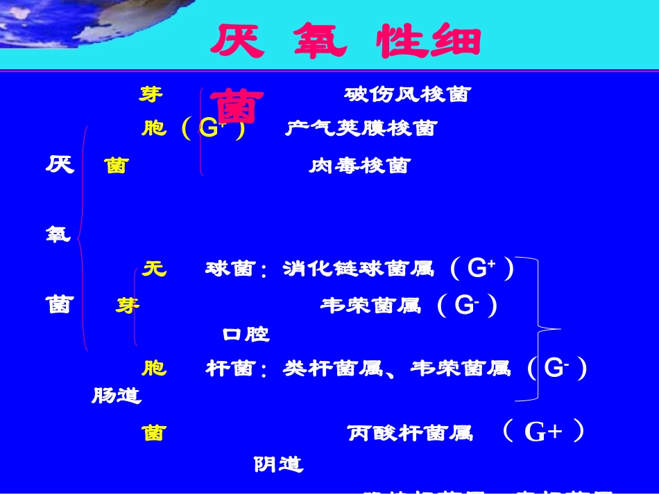 破伤风梭菌2012-4_第2页