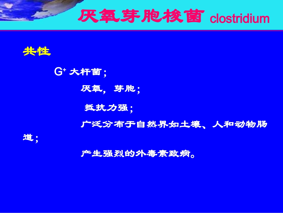 破伤风梭菌2012-4_第3页