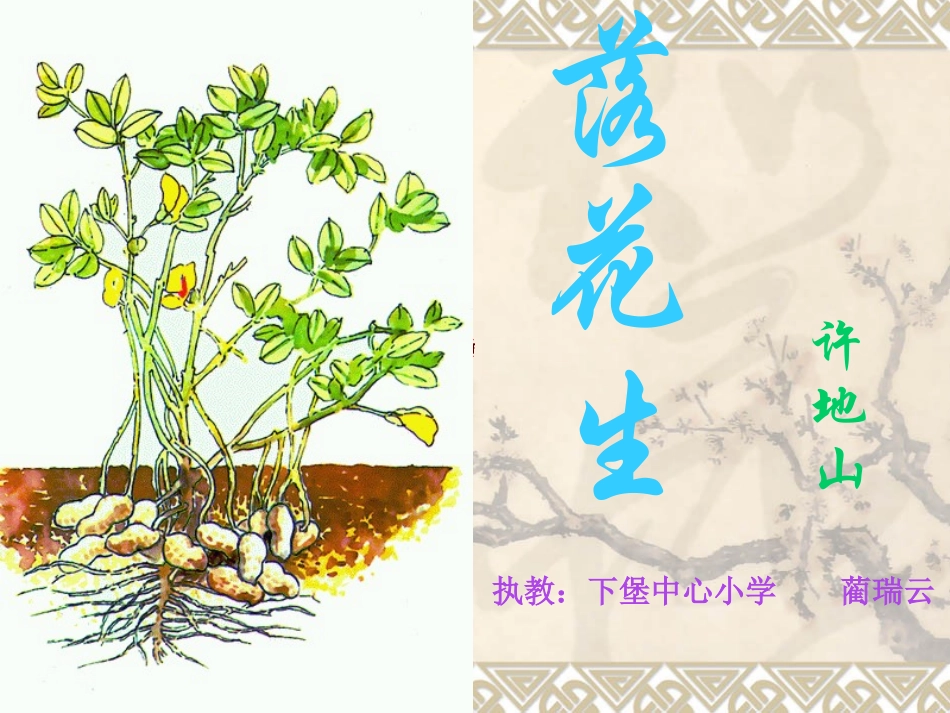 安阳县许家沟乡下堡中心小学蔺瑞云15落花生_第3页