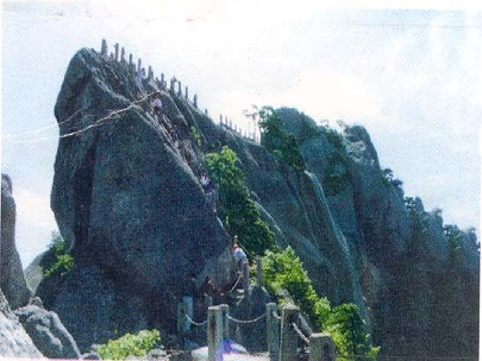 石缝间的生命_第2页