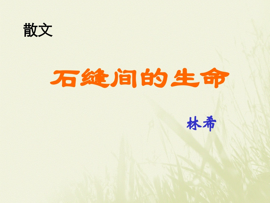 石缝间的生命_第3页