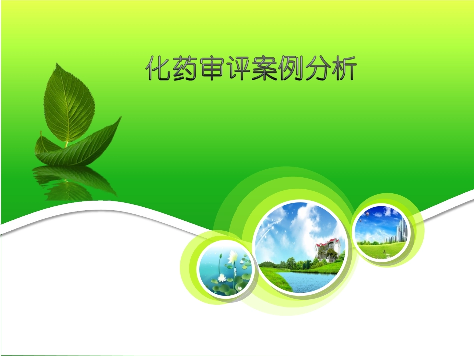 石家庄-化药审评案例分析_第1页