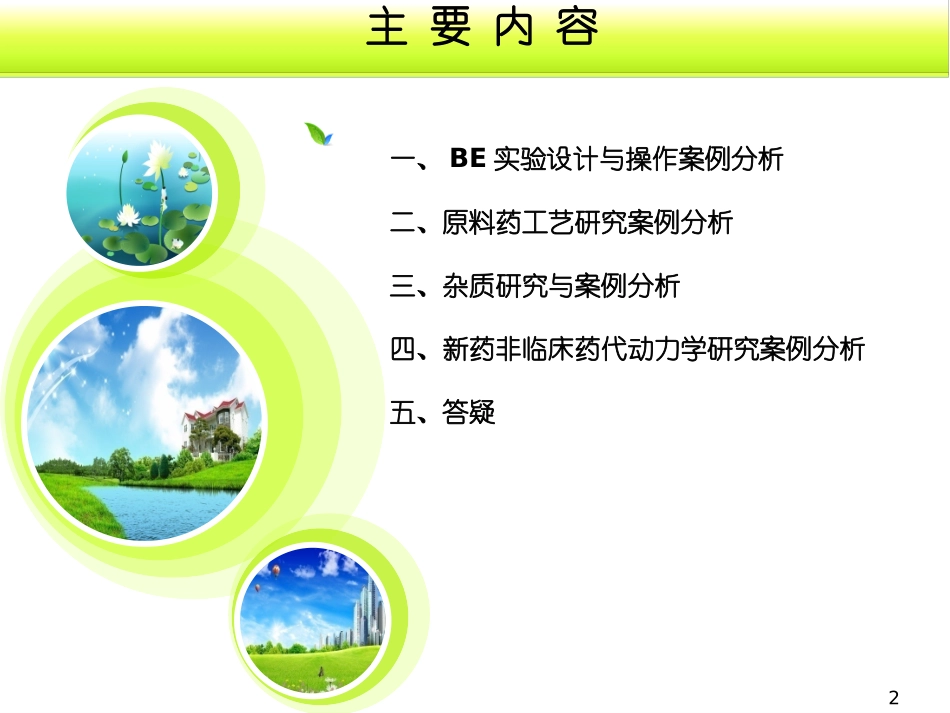 石家庄-化药审评案例分析_第2页