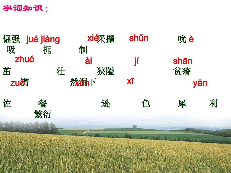 石缝间的生命(2010)-3_第3页