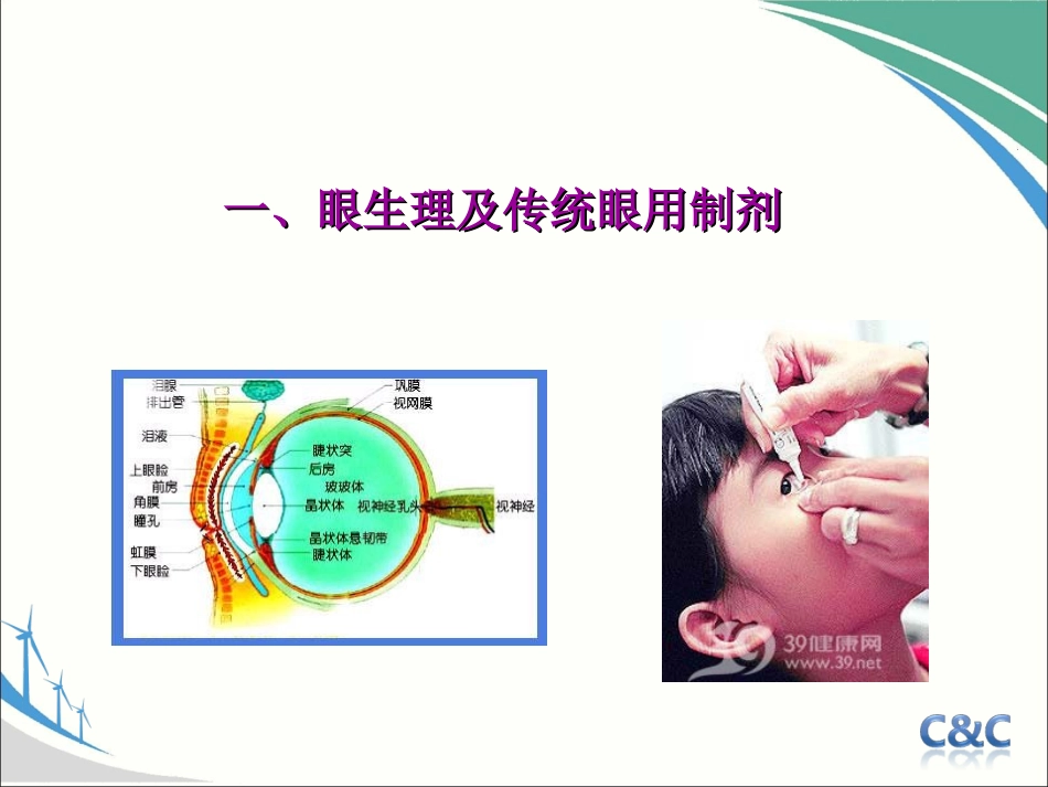眼部给药新制剂(非常好的ppt模板)_第3页