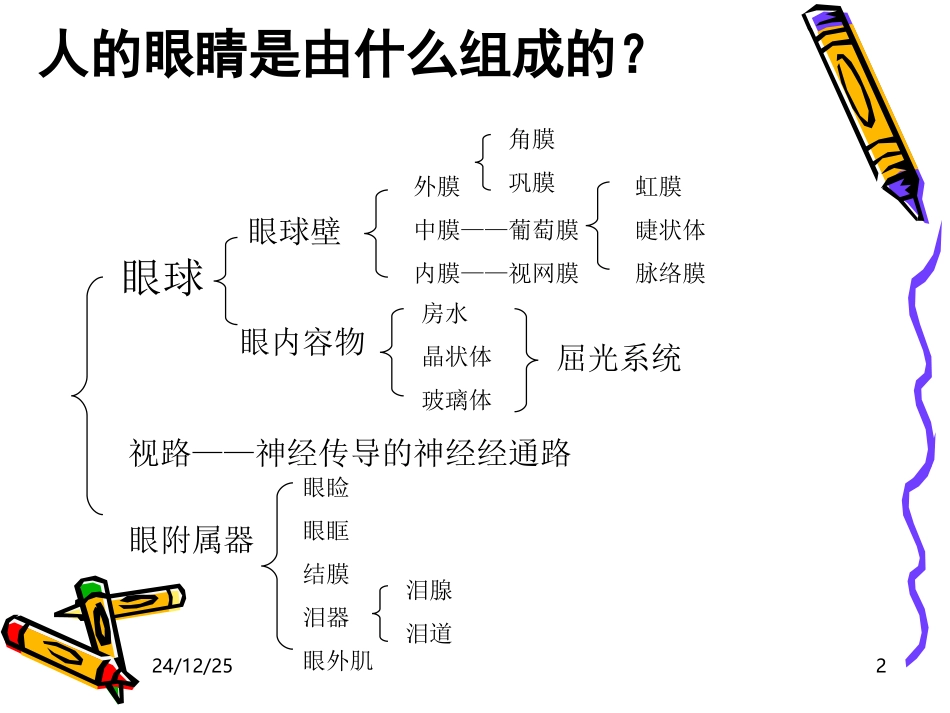 眼科基础知识_第2页