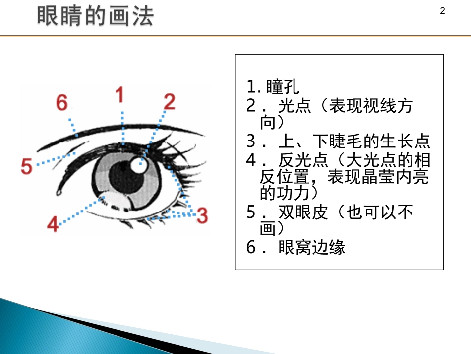 眼睛鼻子嘴巴耳朵的画法_第2页