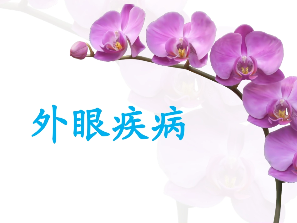 眼睑病-lgy_第1页