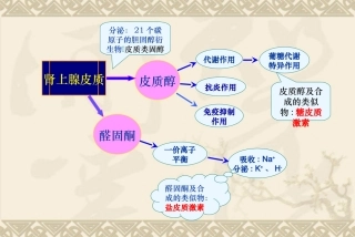 眼病的糖皮质激素疗法进展观念与误区